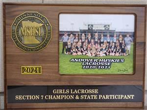 Girls Lacrosse Section 7 Champion and State Participants